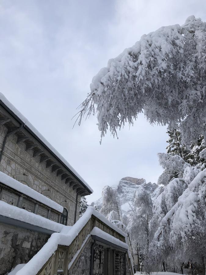 Th Borca Di Cadore - Park Hotel Des Dolomites Esterno foto